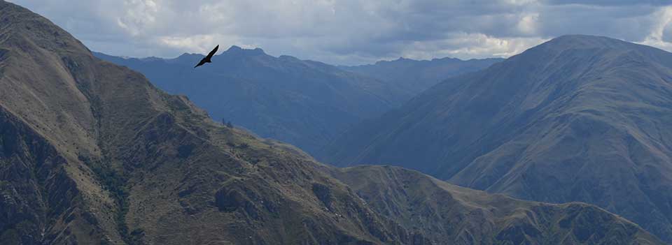 Filght of Condor, Cusco in 1 day