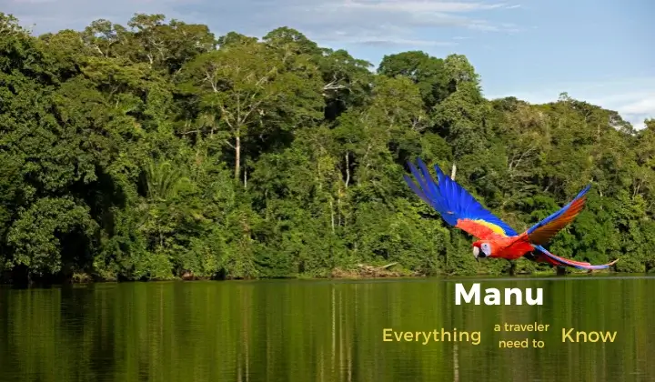 Manu Everyting need to know