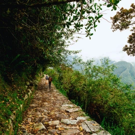 Inca Trail tickets to Machu Picchu 2025