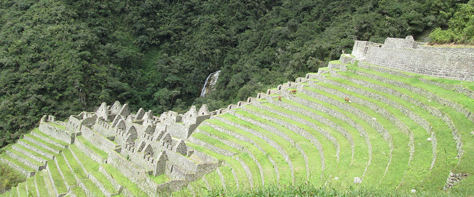 Cusco and Inca Trail 7 days - Day 5: Wiñay Huayna