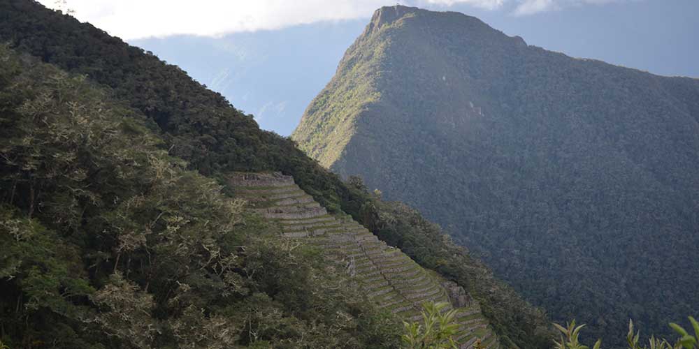 Trek Cusco - Inca Trail - Wiñay Wayna