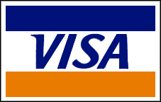 Pay Now with Visa
