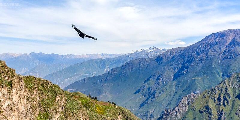 img-COLCA CANYON / CONDOR CROSS / PUNO