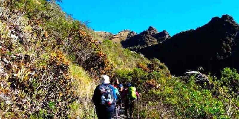 img-Trekking - Wayllabamba to Pacaymayuc / Runcuracay