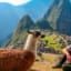 day 9 - Aguas Calientes - Machu Picchu - Cusco