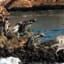 day 4 - Full Day Journey to Paracas & Ica All Day