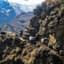 Choquequirao - Río Blanco - Maizal
