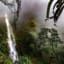 Descending into the Cloud Forest