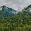 Cloud forest Manu jungle