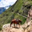 day 1 - Cusco | Cachora - Playa Rosalina (Apurimac River)