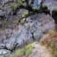 day 4 - Choquequiraw | Choquequiraw Pass- Rio Blanco- Maizal
