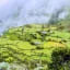day 6 - Yanama | Mountain Range - Totora