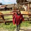 Visit Chincheros and Llamas