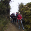 Jungle in Salkantay