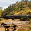 Tren Expedition a Machu Picchu